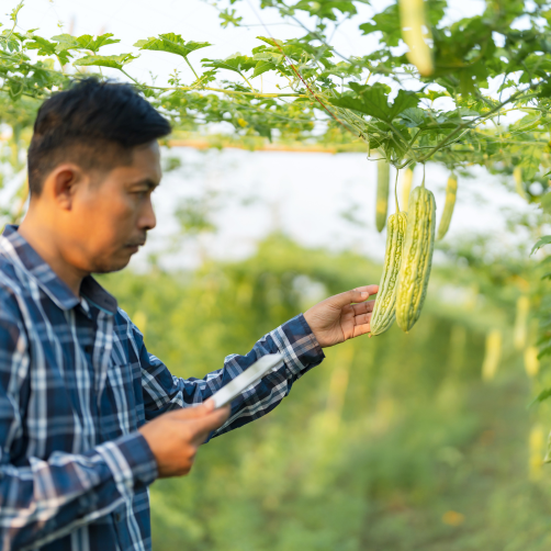 Virtual and on-site food safety training session